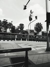 Street light and trees in city against sky