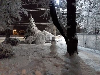 Close-up of christmas tree in snow