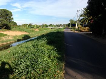 Road amidst plants and trees against sky