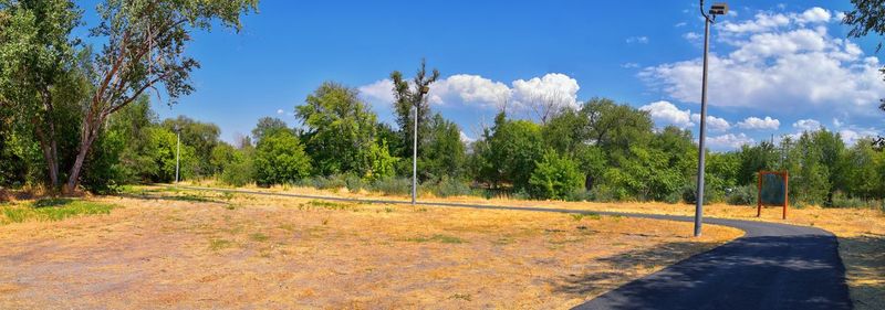 Road amidst trees on field against sky