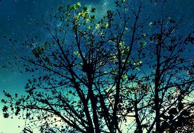 Low angle view of tree against blue sky