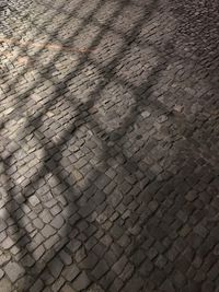 Full frame shot of paving stone