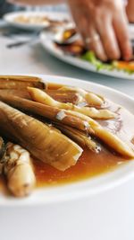 Close-up of served food in plate