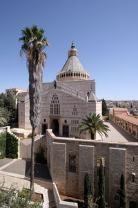 Palm trees and buildings against sky