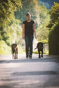 Full length portrait of dog walking in park