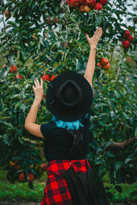 Rear view woman hand reaching to apples on tree at farm