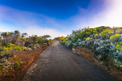 Hiking trail at volcanic area of reunion island