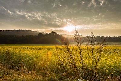 Scenic view of field against sky during sunset