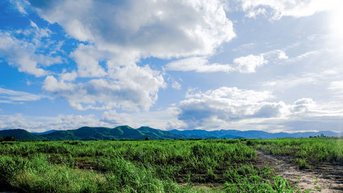 Sky and grassland scenery in rural thailand