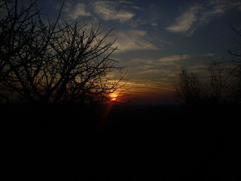 Silhouette trees against dramatic sky during sunset