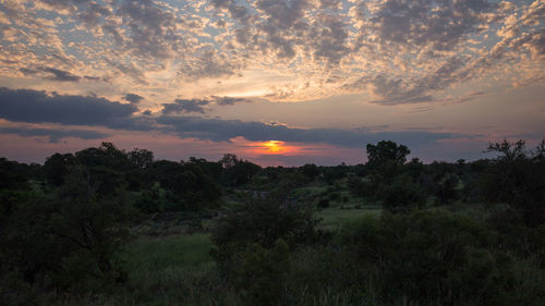 Scenic view of field against sky during sunset