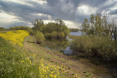 Scenic view of landscape against sky