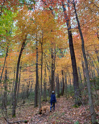 Rear view of people with dog in forest during autumn