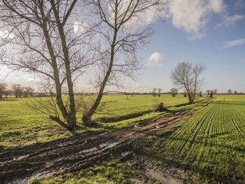 Scenic view of field against cloudy sky