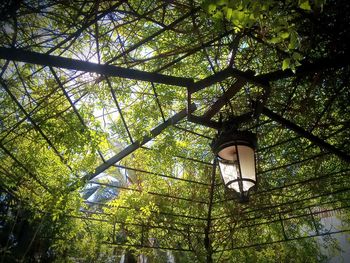 Low angle view of street light against sky
