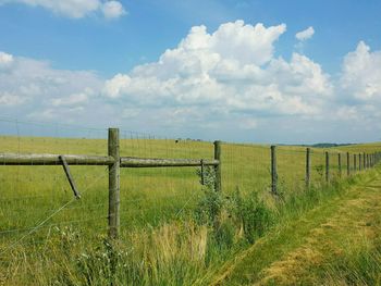 Scenic view of grassy field against sky