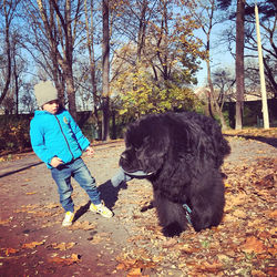 Man with dog by tree