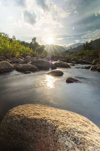 Stone river and sun ray in forest, river stone and tree with sun beam, view water river tree