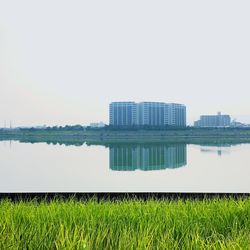 Reflection of trees in water