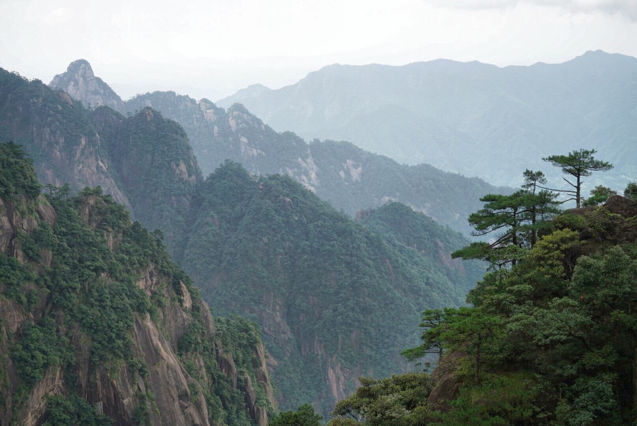 mountain, nature, mountain range, beauty in nature, tranquil scene, day, tranquility, landscape, scenics, tree, outdoors, sky, forest, no people, clear sky, freshness