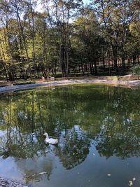 Scenic view of lake