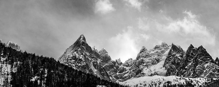 Panoramic view of pine trees against sky during winter