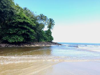 Scenic view of sea against clear sky