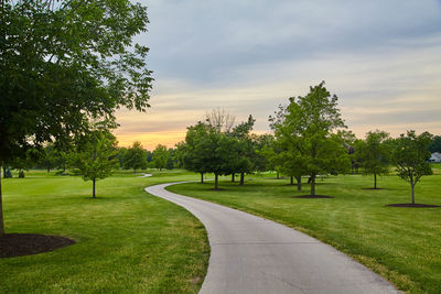 Road amidst trees against sky