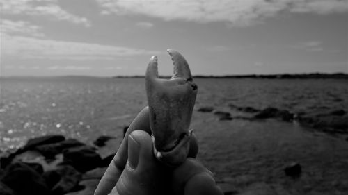 Midsection of person holding ice cream on beach against sky