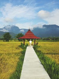 Rear view of person walking on boardwalk over grassy field