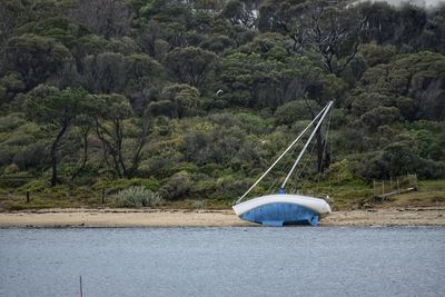 Boat sailing on lake by trees