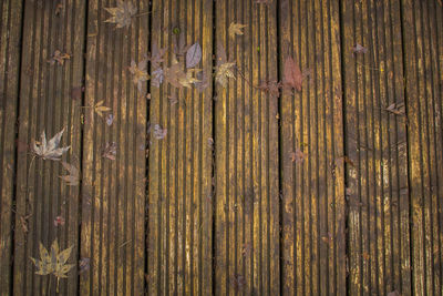 Full frame shot of wooden fence