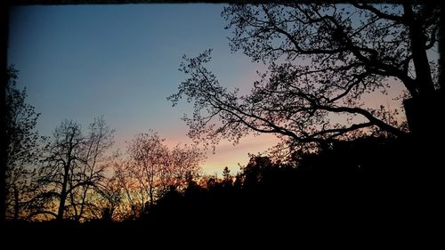 Silhouette of trees against sky at sunset