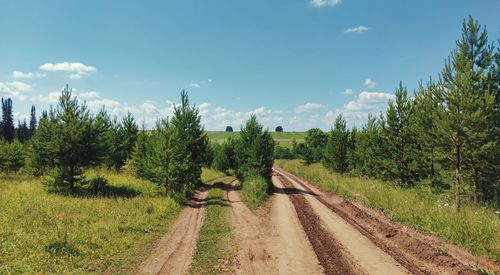 Dirt road amidst trees on field against sky