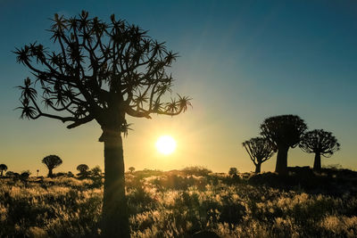 Silhouette tree on field against sky at sunset