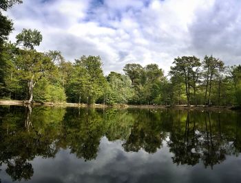 reflection