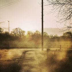 Road passing through forest