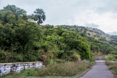 Scenic view of landscape against cloudy sky