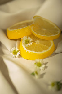 Close-up of yellow flower