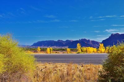 Scenic view of field against blue sky