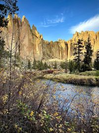 Scenic view of rock formation amidst trees against sky