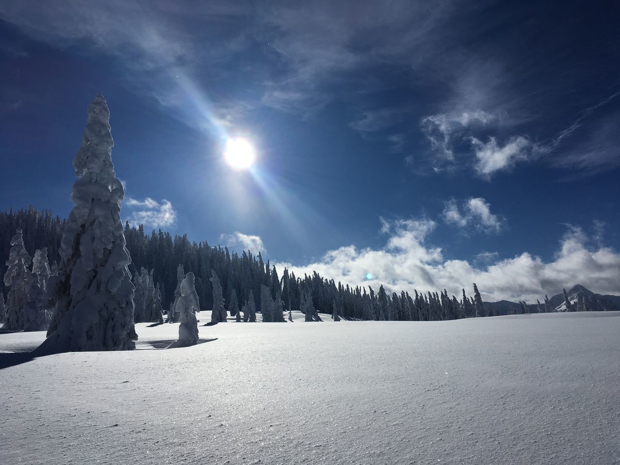 SNOW COVERED LANDSCAPE AGAINST SKY
