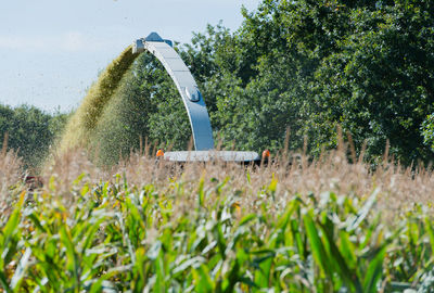 Agricultural machinery on field against trees