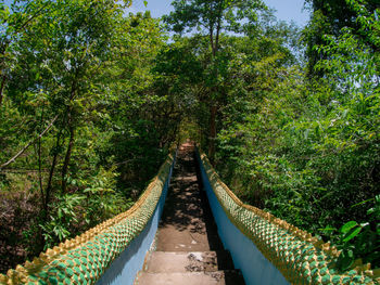 Footbridge amidst trees in forest