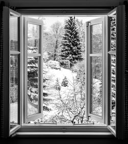 Close-up of window in winter