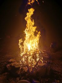 Campfire at night