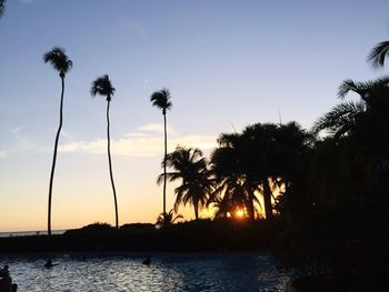 Silhouette of palm trees at beach during sunset