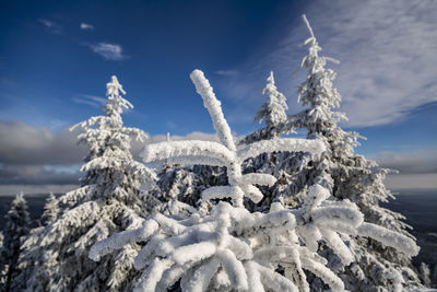 Snow on land by sea against sky