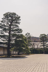 Trees on field against clear sky