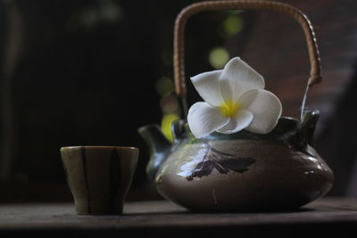 Close-up of flowers in vase